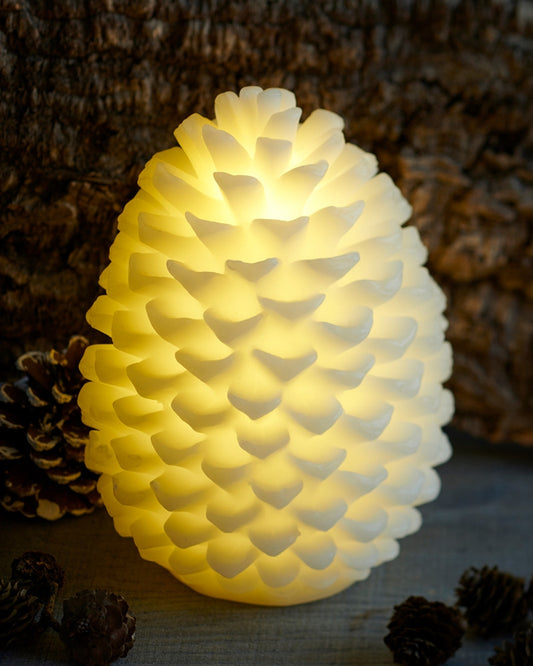 Sirius Clara kogle 18 cm
