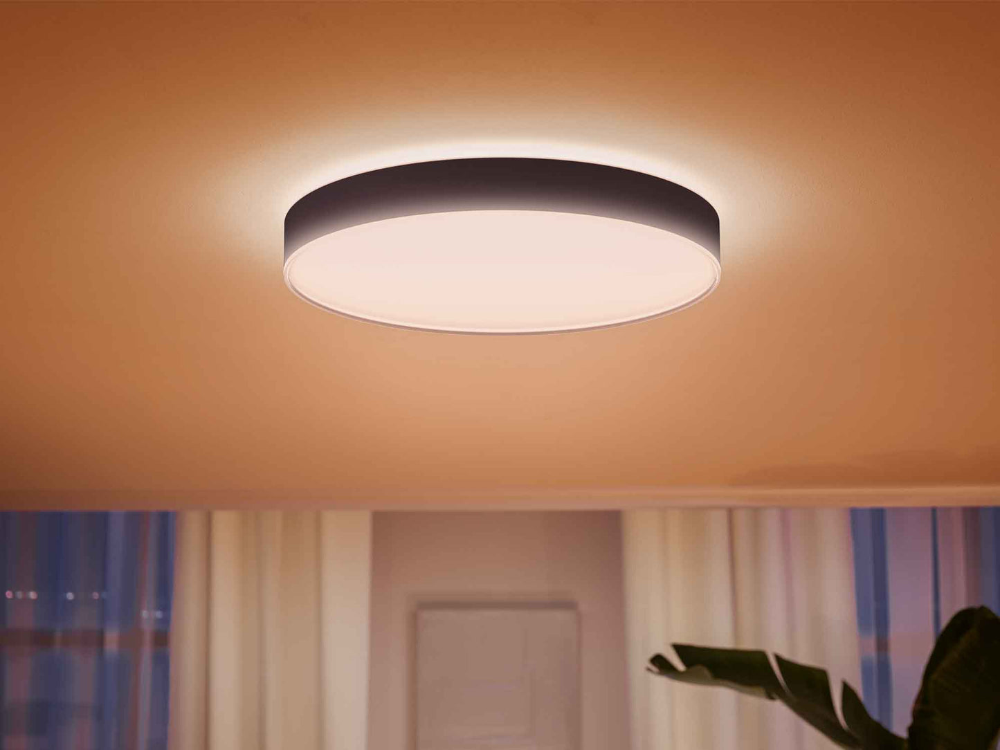 Philips Hue sort loftlampe