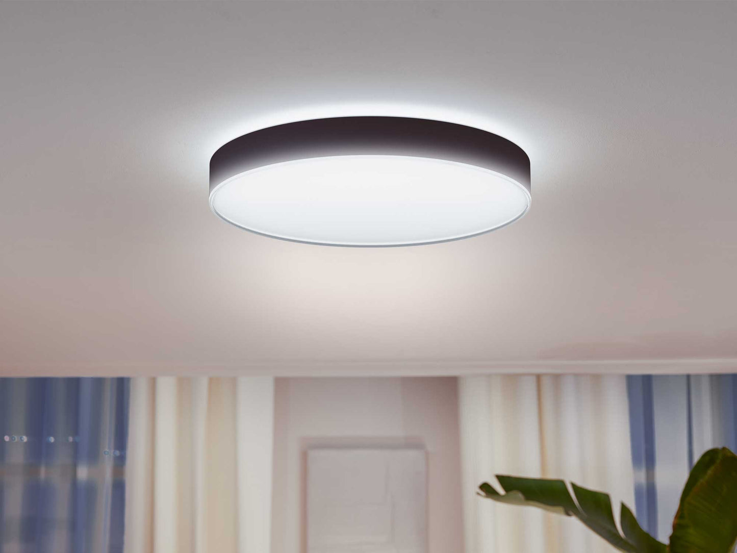 Philips Hue sort loftlampe med hvidt lys