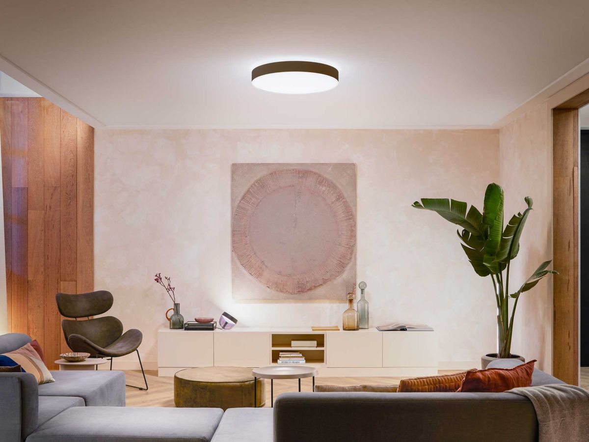 Philips Hue loftlampe XL sort