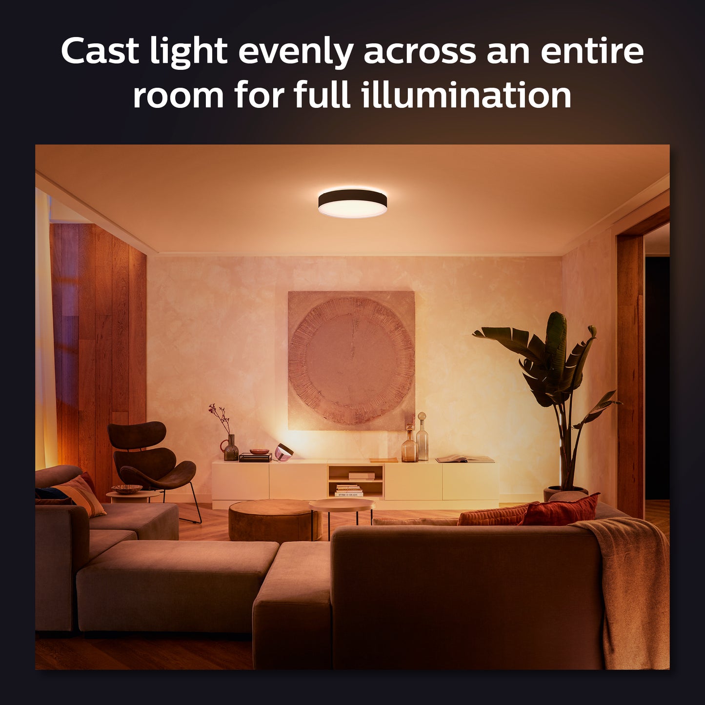 Philips Hue Enrave XL sort