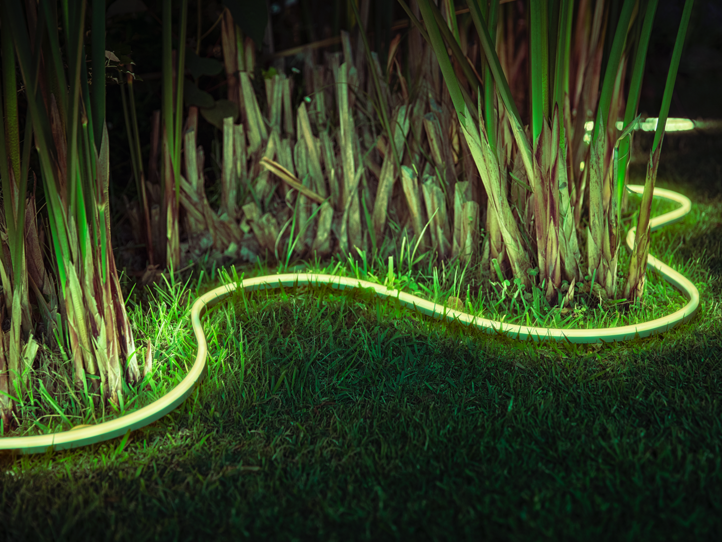 Philips Hue Hue Lightstrip Udendørs 2m