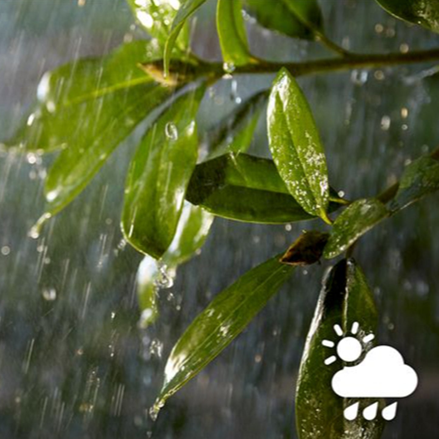 Philips Hue Hue Lightstrip utomhus 5m