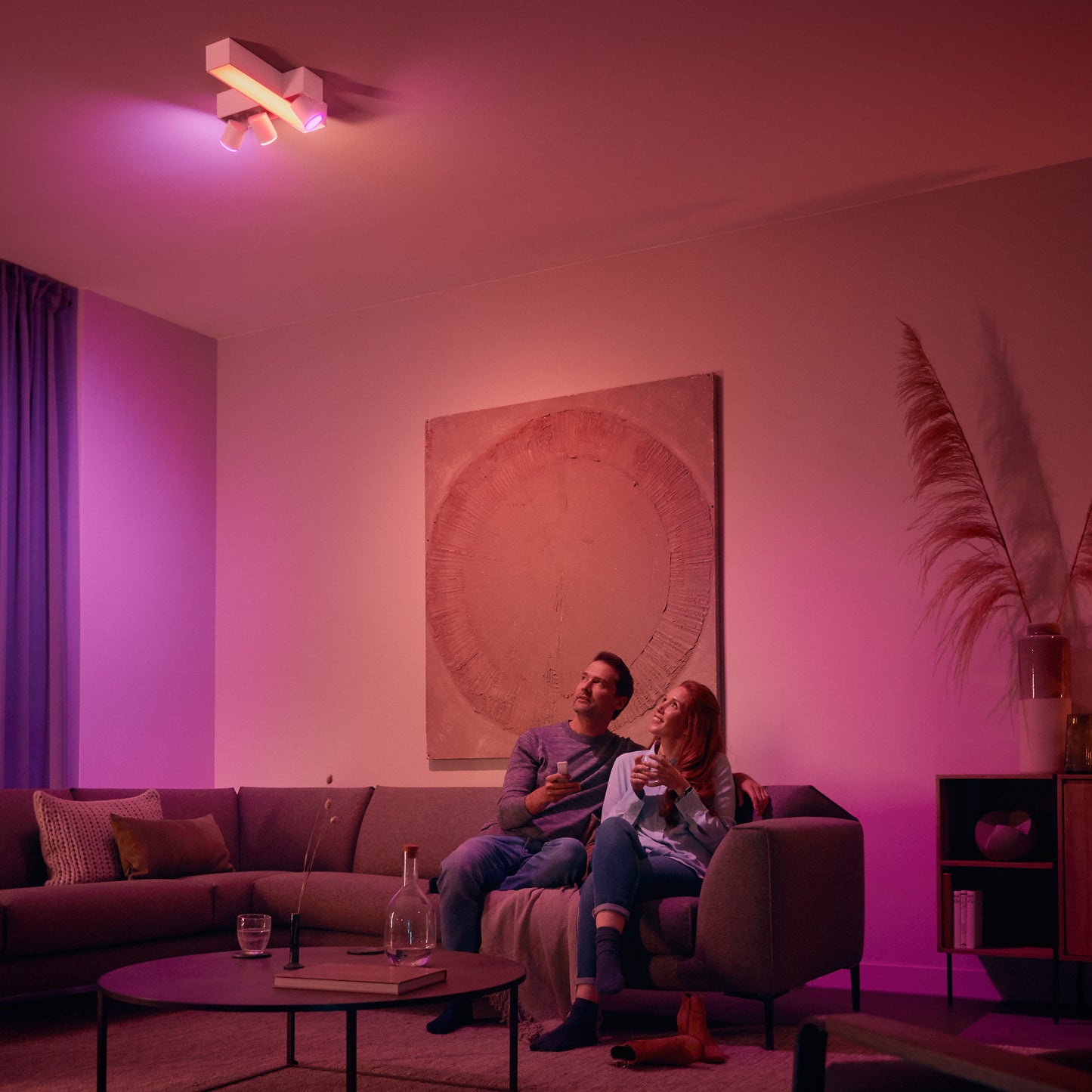 Philips Hue - Hue Switch Remote Dimmer