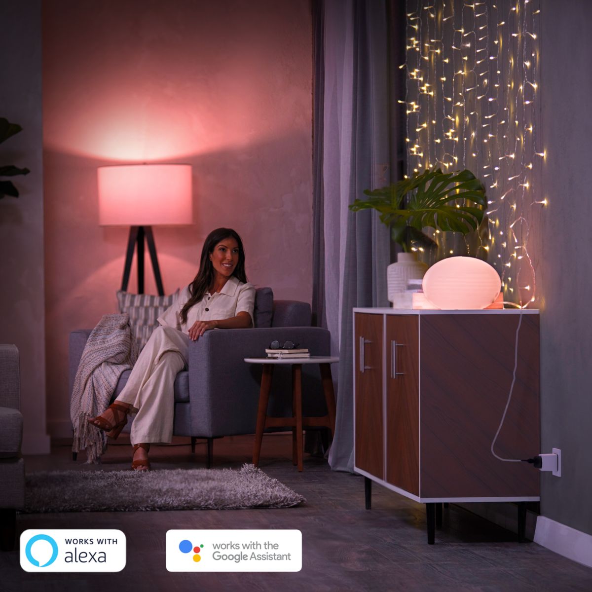 Philips Hue smart plug