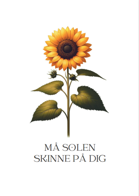 Seedme - Kort til at skinne - Solsikke