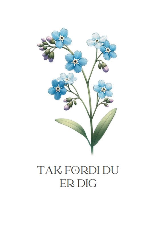 Seedme - Kort til en tak - forglemmigej