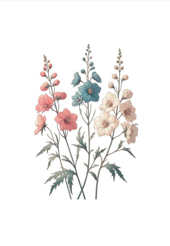 Seedme - blomsterkort - Ridderspore