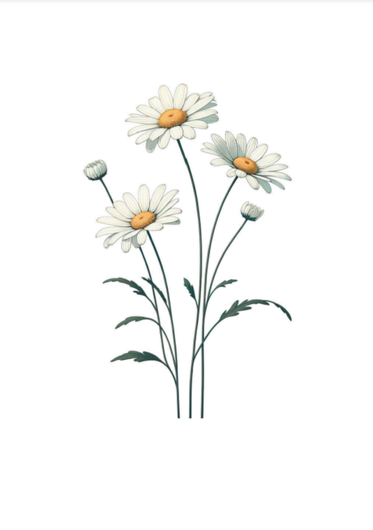 Seedme - Kort til en fest - Magurit