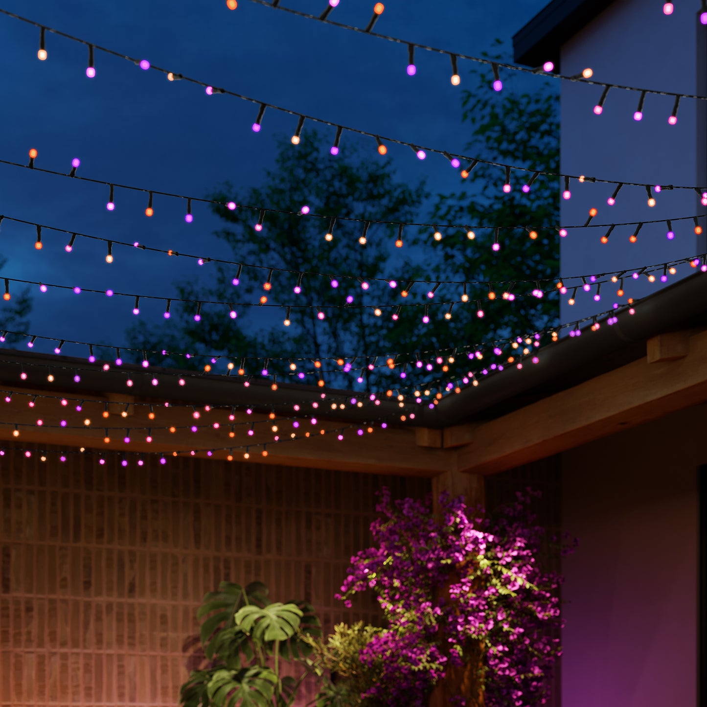 Philips Hue Hue Festavia stringlight - 500 LED