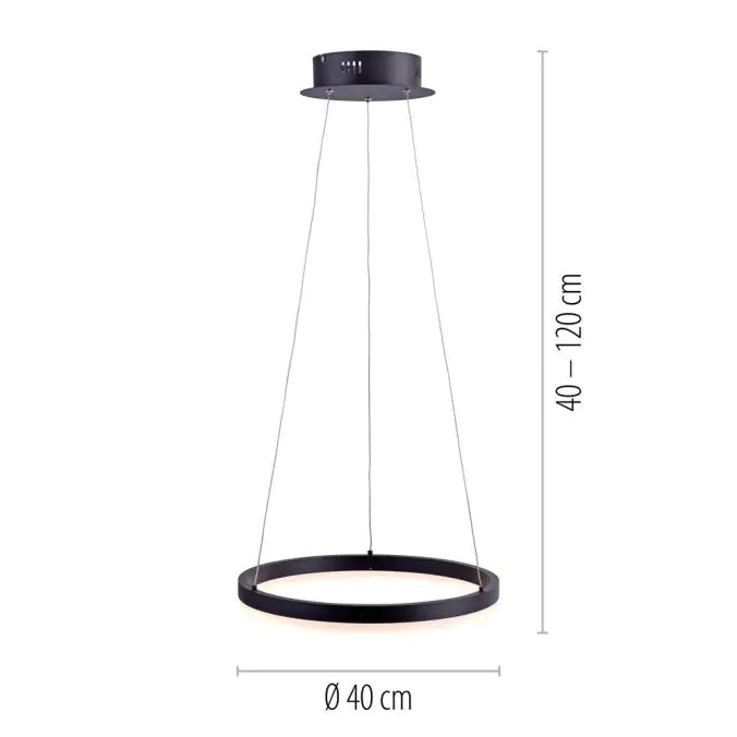 Paul Neuhaus LED Circle taklampa Ø 40cm svart