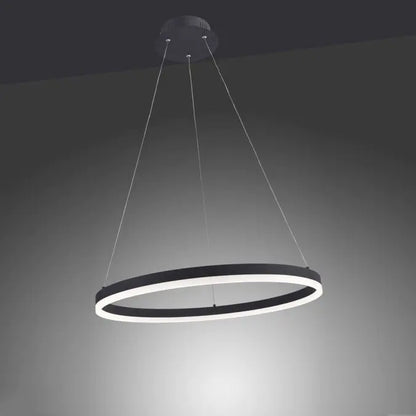 Paul Neuhaus LED Cirkel pendellys Ø 60cm sort