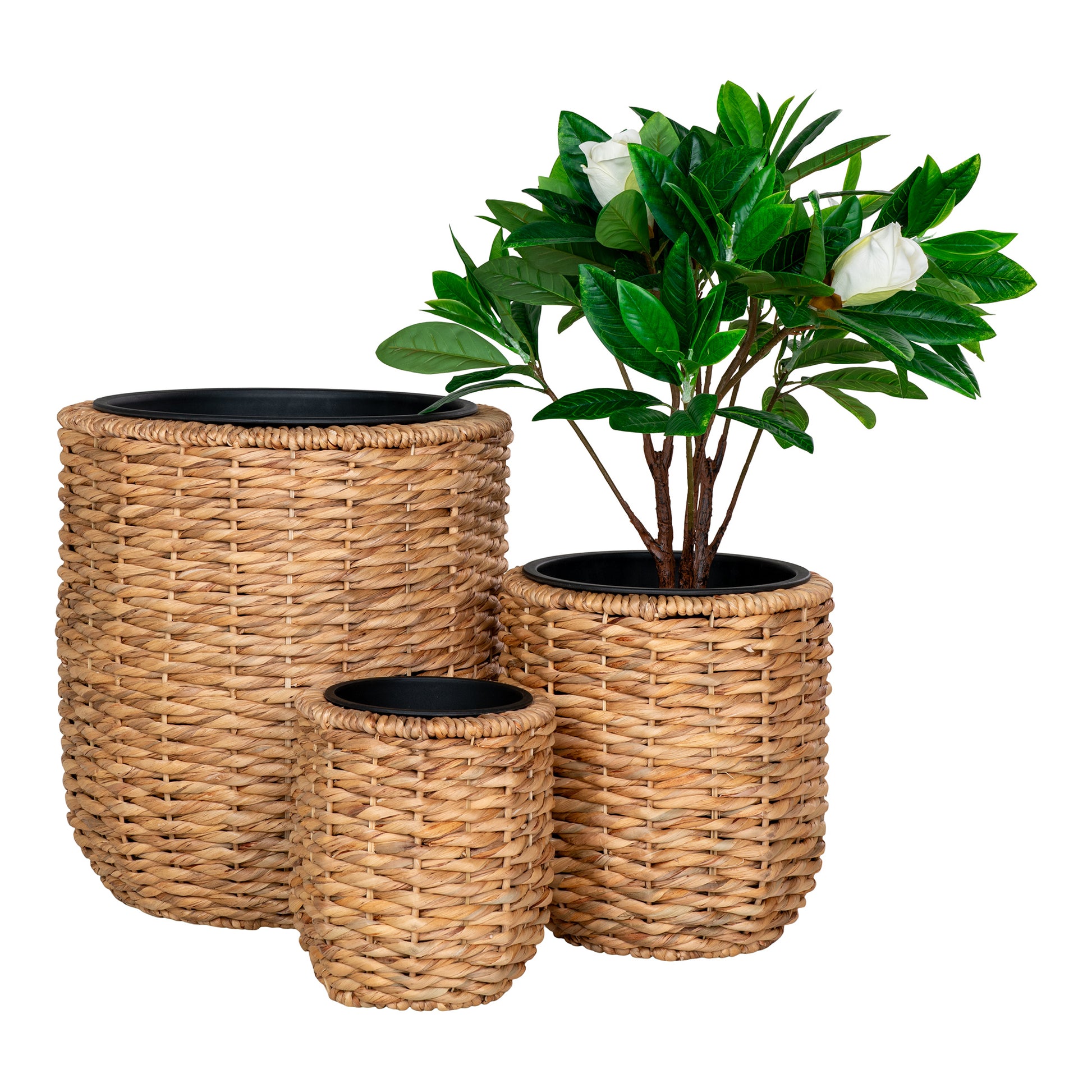 Naturfarvede flettede plantekurve
