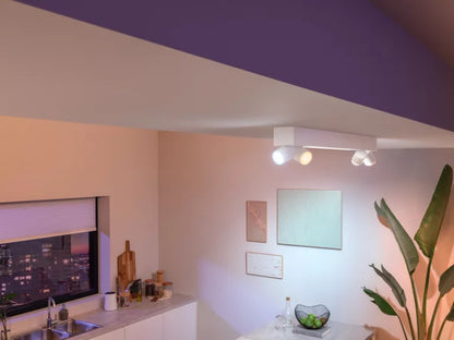 Centris Hue 4-spot white special form V2