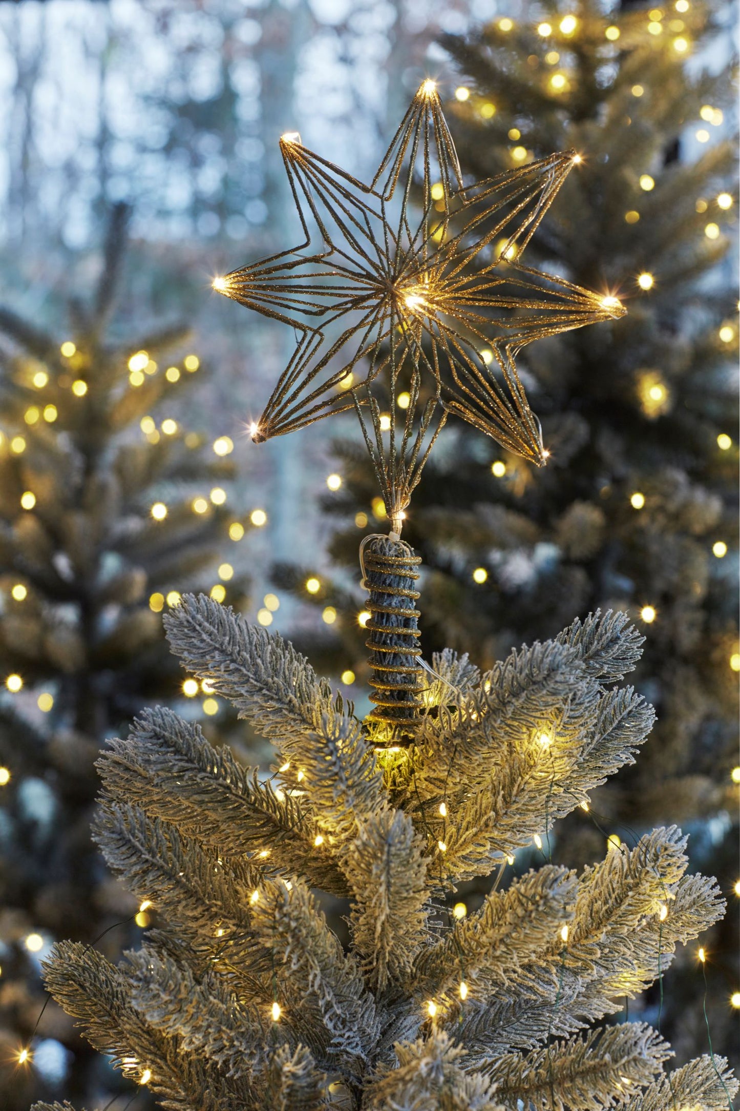 Sirius Chloe juletræsstjerne - Guld