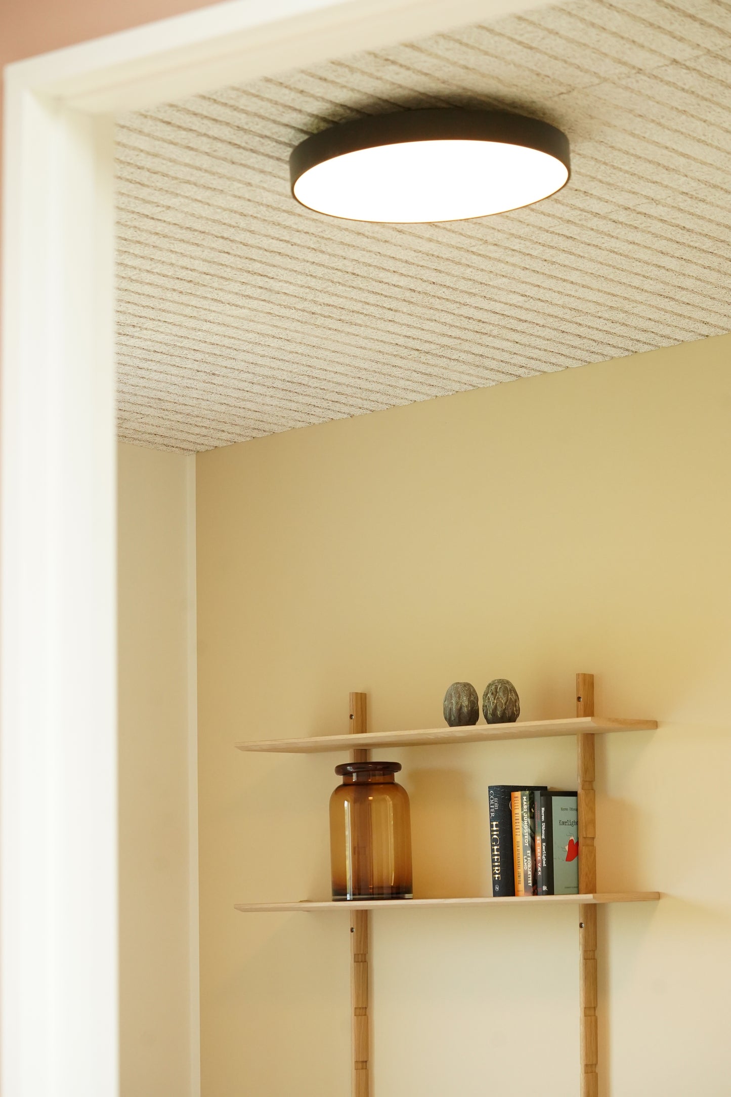 ANTIDARK Luna C450 Loftlampe