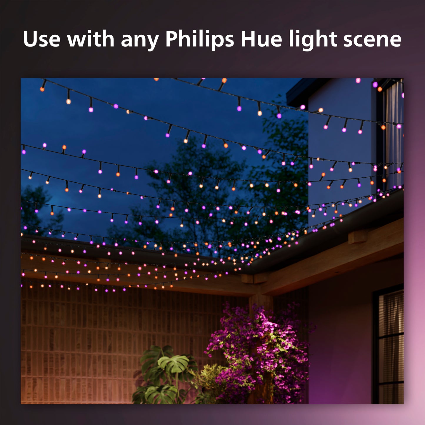 Philips Hue Hue Festavia stringlight - 500 LED