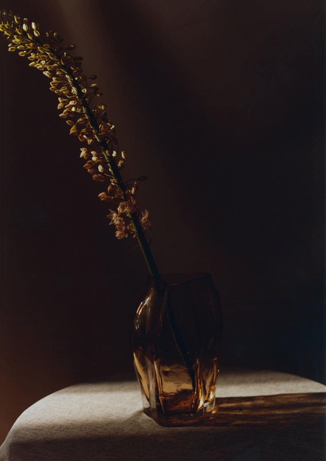 New Works Blæhr Vase Lille - Rav Glas