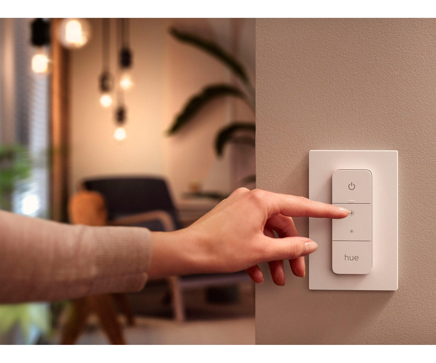Philips Hue - Hue Switch Remote Dimmer